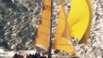 condor 2